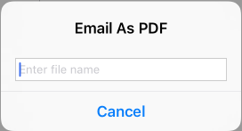Email as PDF